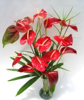 Romantic bouquet of Tropical Arrangement