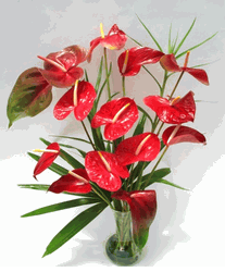 Romantic bouquet of Tropical Arrangement