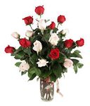 Romantic Interlude 18 rose