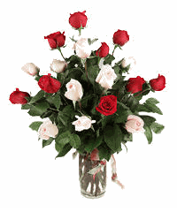 Romantic Interlude 18 rose