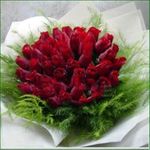 Romantic Rose 99 Red Rose