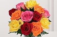 Rose 12 Stem 