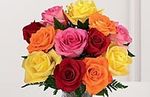 Rose 12 Stem 