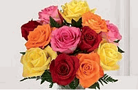 Rose 12 Stem 