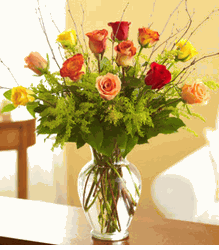 Rose Elegance
