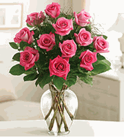 Rose Elegance Premium Long Stem Pink Roses