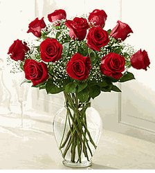 Rose Elegance Premium Long Stem Red Roses