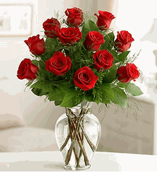 Rose Elegance Premium Long Stem Red Roses
