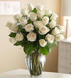  White Roses