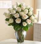  White Roses