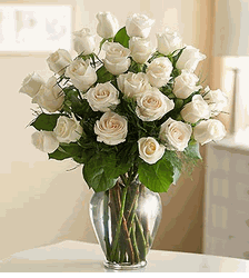  White Roses