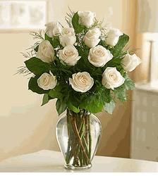 Rose Elegance Premium Long Stem White Roses