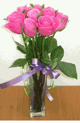 Rose Pink