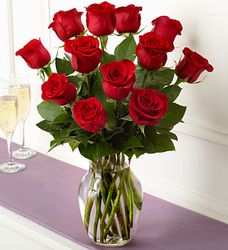 Rose Romance Dozen Roses 