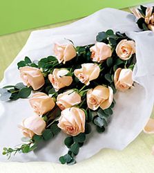 Rose Wraped