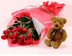Roses and Teddy bear 