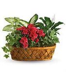 Vietnamese Fort Worth, TX Florist Russell Funeral Home