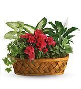 Vietnamese Russell Funeral Home Fort Worth, TX Florist Flower Shop 