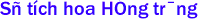 Sự tích hoa Hồng trắng