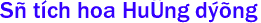 Sự tích hoa Huớng dương