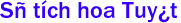 S&#7921; tch hoa Tuy&#7871;t 
