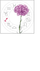 Sagittarius: November 23 - december 21