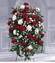 Florist Vietnamese Hoa Tang Le102