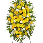 Florist Vietnamese Hoa Tang Le109