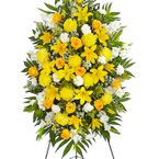 Florist Vietnamese Hoa Tang Le109