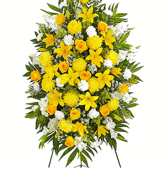 Florist Vietnamese Hoa Tang Le109