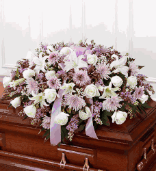Click to enlarge