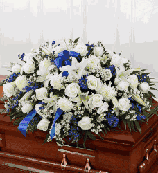 Click to enlarge