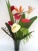 SaigonTropical Flowers 