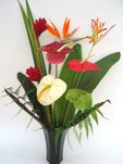 SaigonTropical Flowers 
