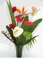 SaigonTropical Flowers 