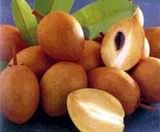 Sapodilla 1kg