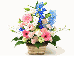 Seasonal Arrangement