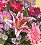 Send Saigon Florist Choice Bouquet
