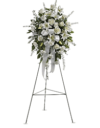 Sentiment of Serenity Spray