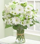 Serene Green