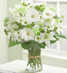 Serene Green