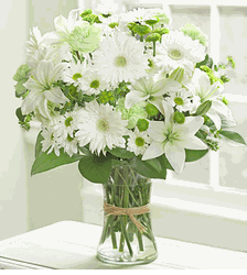 Serene Green