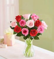 Shades Of Her Love Roses 