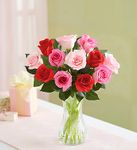 Shades Of Her Love Roses 
