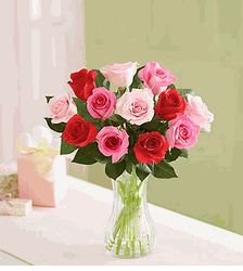 Shades Of Her Love Roses 