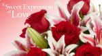 Shop hoa Si Gn, VN Florist & Gifts-DICH VU HOA TUOI
