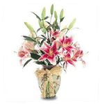 Simplicity of lilies