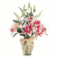 Simplicity of lilies