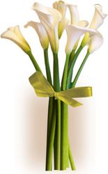 Simply Calla Lilies bouquet