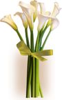 Simply Calla Lilies bouquet